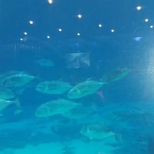 Meet your Posher, Vernita